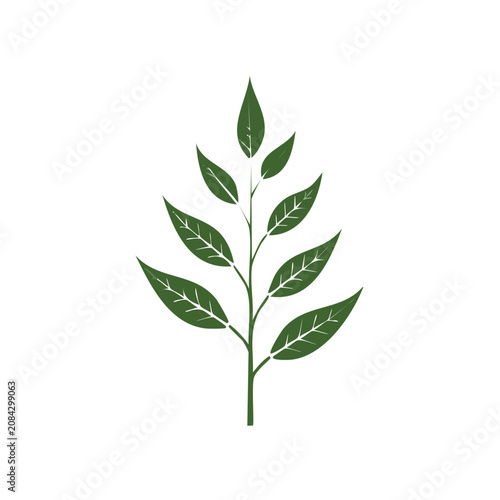 Flat green plant illustration vector