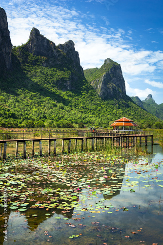Thung Sam Roi Yot Freshwater Marsh.