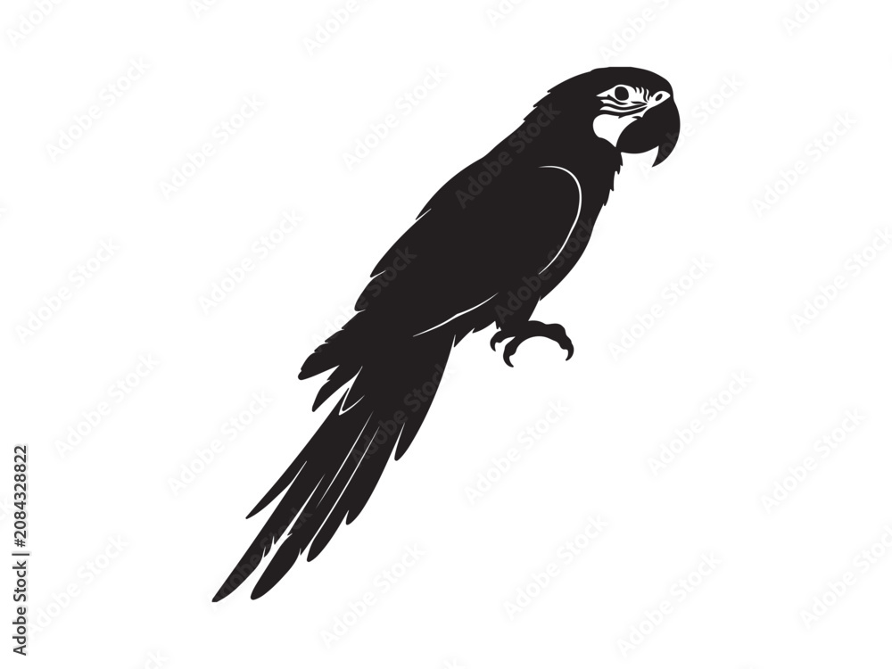 Fototapeta premium Black and white silhouette of a macaw parrot perched with silhouette wildlife tropical
