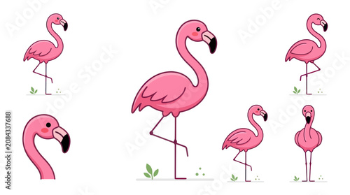 Pink flamingo illustrations in various poses.