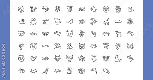Fotografie outline animals icons set - orangutan, lemur, rabbit, sable