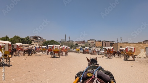 Fényképezés Horse-drawn carriages for visiting pyramids at the entrance of desert in Giza, E