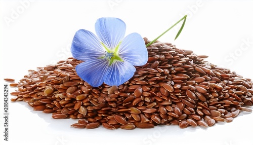 Flax Seeds With Flower Isolated