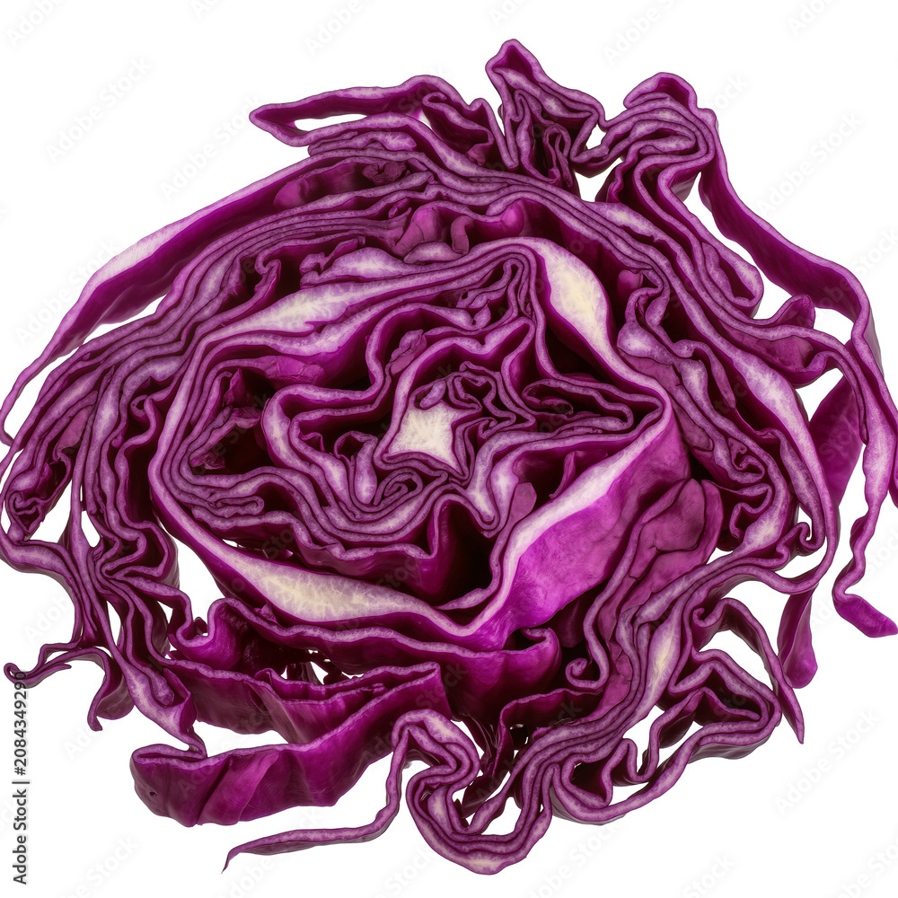 Obraz premium Isolated vibrant cross-section of red cabbage revealing intricate texture and deep purple hues