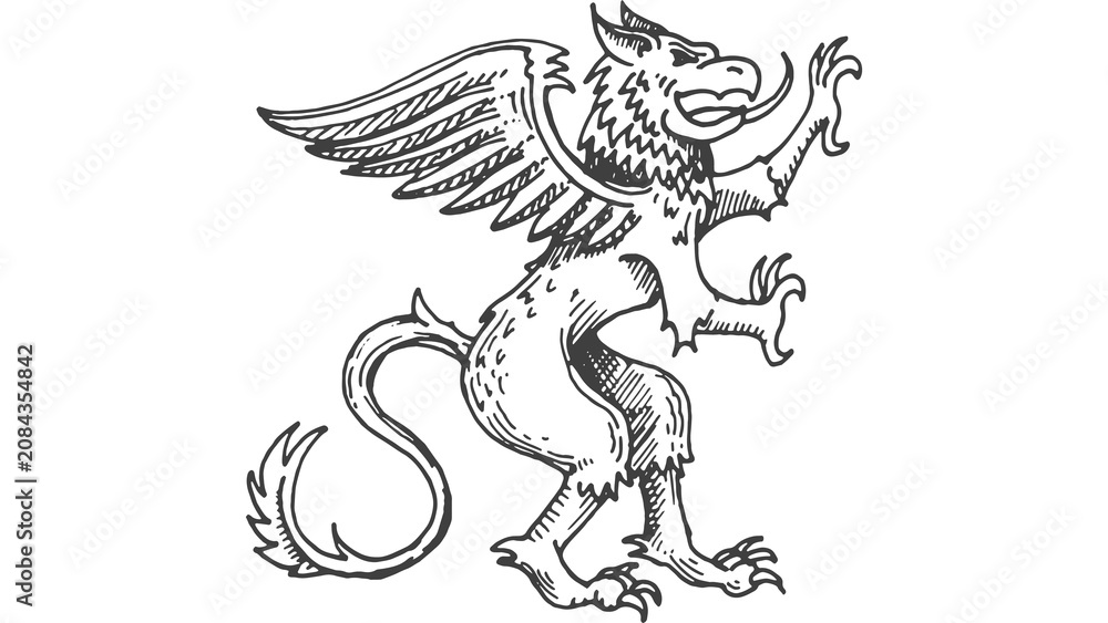 Obraz premium Detailed griffin mythical creature line art heraldic style illustration isolated on transparent background for design