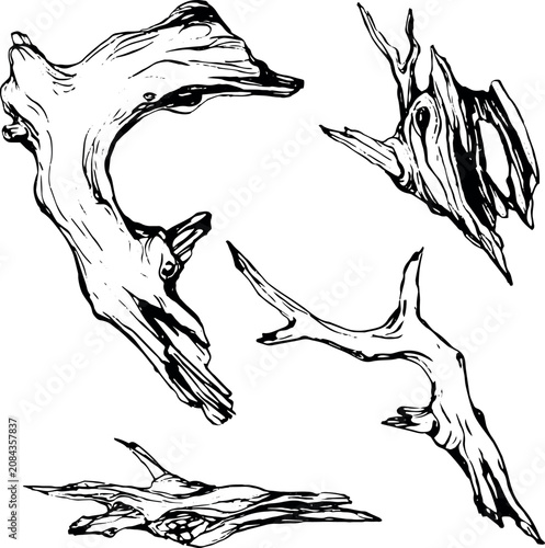 vector black dry twisted branches