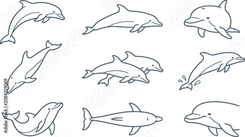 Photos Hand Drawn Dolphin Outline Collection with Playful Marine Mammal Poses, Ocean Wi