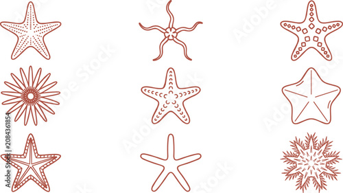Bild auf Leinwand Hand Drawn Starfish and Sea Star Outline Collection with Echinoderm Sketches, Ma