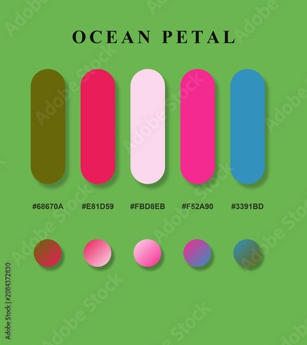 Ocean Petal Color Palette Swatches