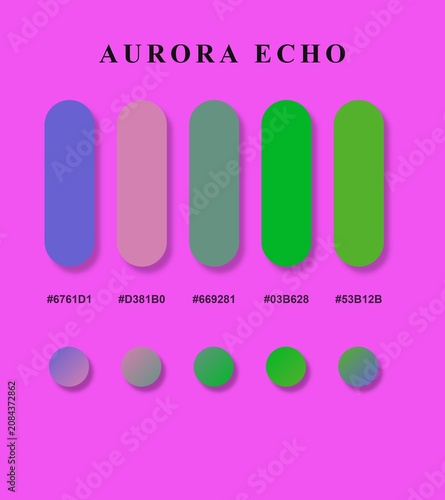 Aurora Color Palette Swatches on Pink Background