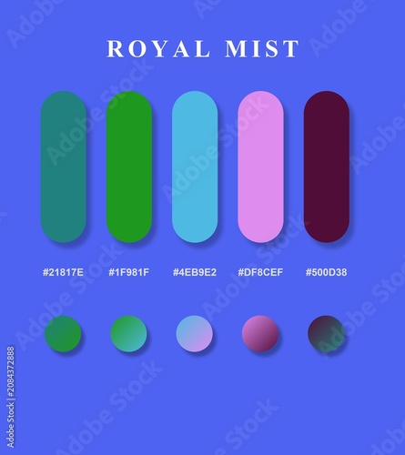 Royal Mist Color Palette Swatches
