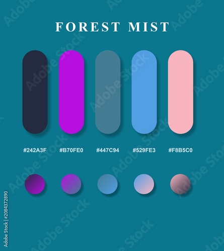 Color Palette Forest Mist with Hex Codes
