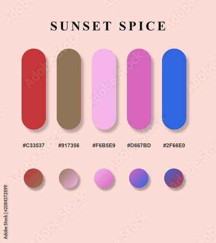 Sunset Spice Color Palette