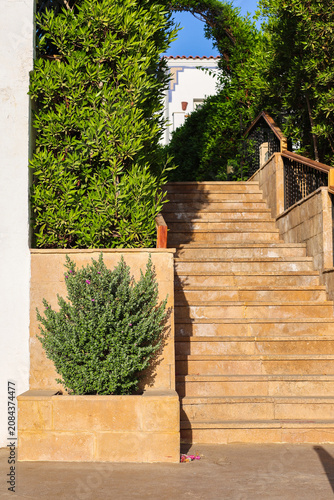 Narrow staircase ascending through lush green vegetation tropical or garden setting.