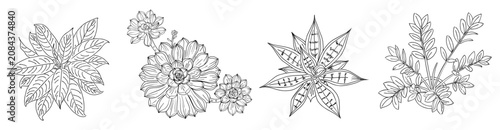 Fényképezés Sketch shows four unique houseplant top views
