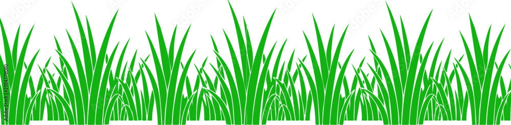Fototapeta premium Green grass border vector with fresh meadow blades and natural lawn foliage .