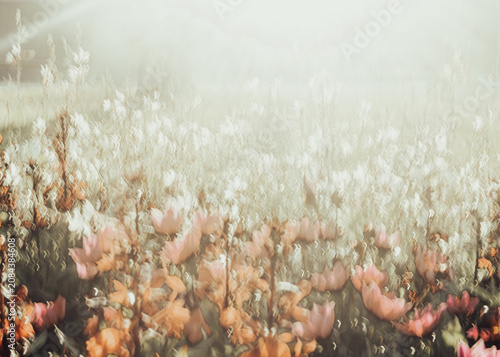 Canvas Print Dreamy fine art photograph created with intentional camera movement, blending flowers and soft sunlight into painterly textures