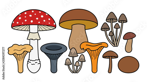 Принти на полотні A colorful illustration of various mushrooms.