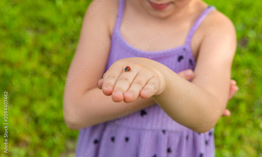 Fototapeta premium A ladybug on a child hand. Selective focus.
