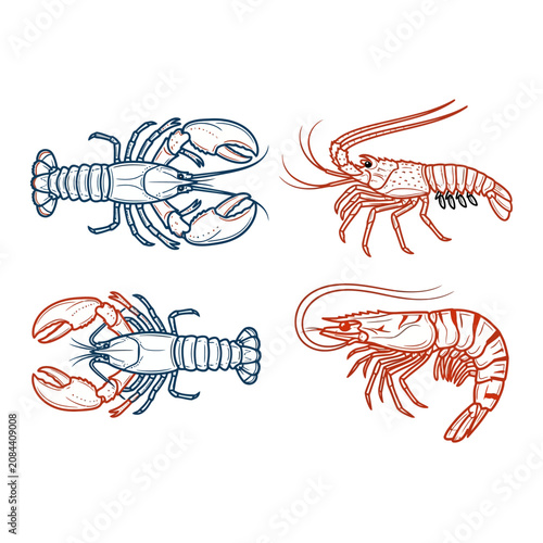 Tableau sur toile Hand drawn illustrations of various fresh seafood crustaceans