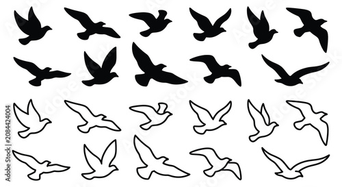 Foto Bird Silhouettes And Outlines On A White Background