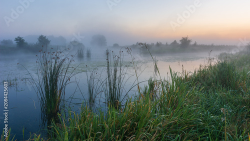 A serene river landscape is shrouded in thick morning mist, with tall green reeds lining the quiet, glassy water