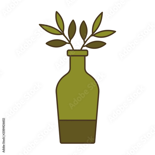 Olive branch in glass bottle flat vector illustration