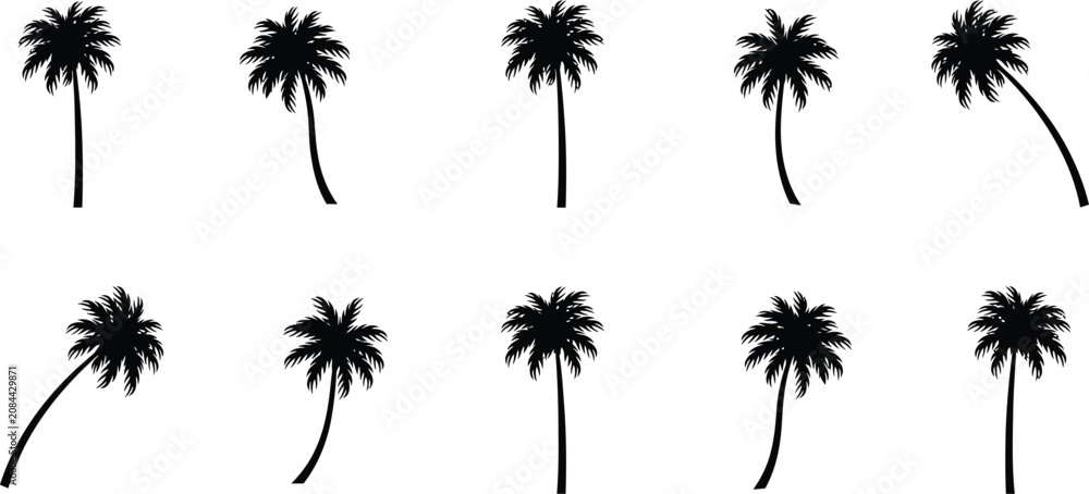 Fototapeta premium Black palm leaves minimalist