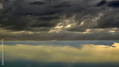 Tableau sur toile Nimbostratus clouds herald a violent summer storm, whilst young swifts make the most of the air currents to practise their flying in adverse conditions