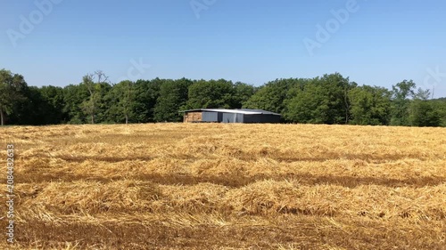 Harvested and mowed wheat field in the rural countryside and hay barn or shed at a farm in Westerwald Germany Europe on a sunny day with blue sky and forest