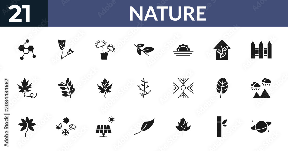 Fototapeta premium filled nature icons set - chemical structure, obcordate, carnivorous plant, bamboo sticks. editable vector for web and mobile ui