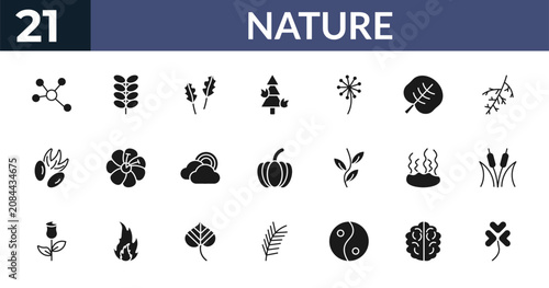 Konstfotografi filled nature icons set - element, briar leaf, pedunculate, human brian