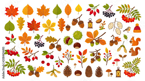 Cuadro en lienzo Autumn Leaves, Acorns, Berries, Pinecones, and Squirrels - Seasonal Collection