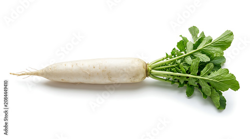 Fresh white daikon radish with green tops