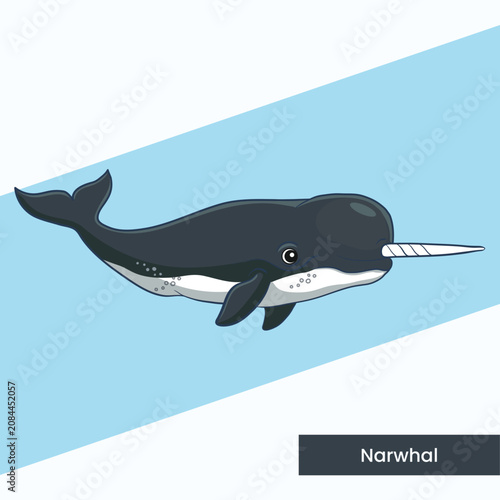 An enchanting vector illustration of a narwhal featuring its iconic spiraled tusk. Ideal for arctic wildlife educational projects, children's storybooks, and ocean animal collections.