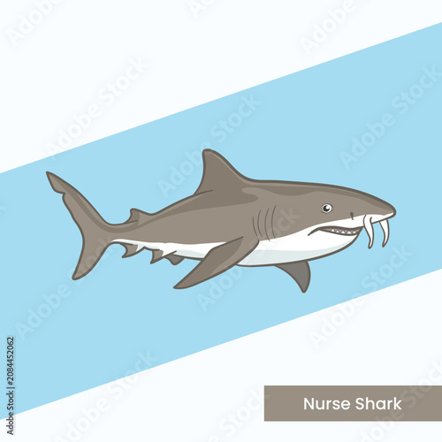 A professional vector illustration of a nurse shark with distinctive barbels and a brown body. Perfect for marine biology education, sea life posters, and aquatic wildlife themes.