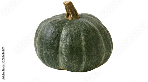 Fotografie Dark green kabocha squash with textured skin, isolated on transparent background