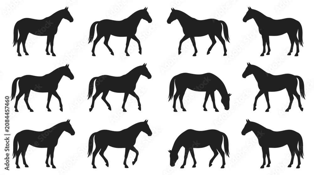 Fototapeta premium Detailed black silhouettes of horses standing and walking in various poses on a white background
