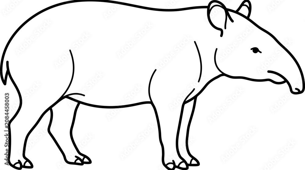 Fototapeta premium Tapir Line Drawing Illustration - Simple Black and White Animal Sketch