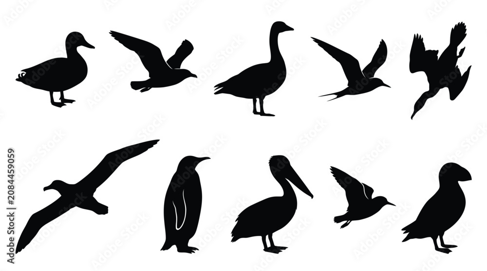 Fototapeta premium Detailed collection of diverse wild bird silhouettes isolated on a clean and bright white background