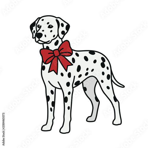 Cute dalmatian dog standing and wearing a festive red bow
