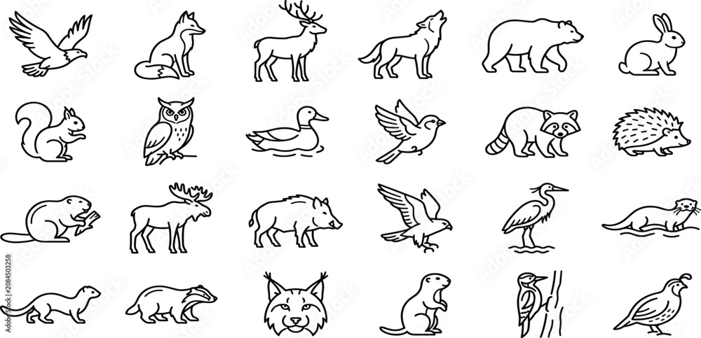 Fototapeta premium Woodland Wildlife and Forest Animals Line Icon Collection Featuring Deer Wolves Bears Birds Foxes Lynx Raccoons and Otters for Nature Conservation Project Graphics