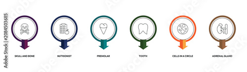 Obraz na płótnie medical outline icon set