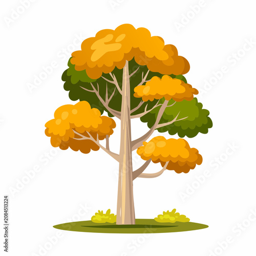 Autumn tree with mixed foliage on white.