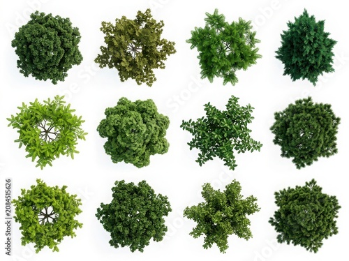Set of twelve green trees viewed from above for architectural landscape design and garden planning projects with realistic foliage isolated on white background