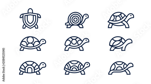 Obraz na plátně Turtles in various poses and styles.