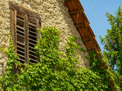 Foto Abandoned old stone house with a weathered wooden window overgrown with green iv