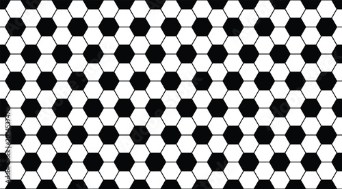 Fotografie Soccer ball pattern