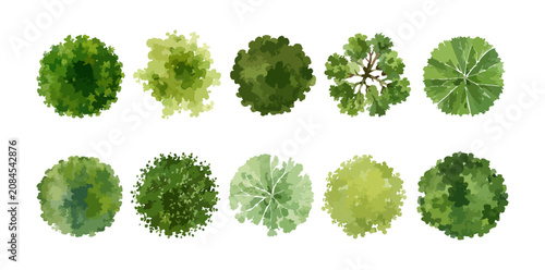 Konstfotografi Watercolor tree top view set, green circular canopy symbols for landscape archit