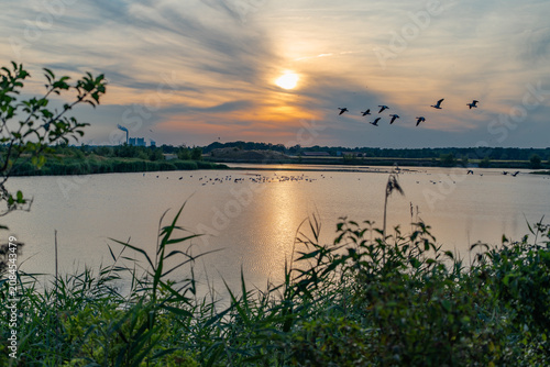 Seelandschaft
